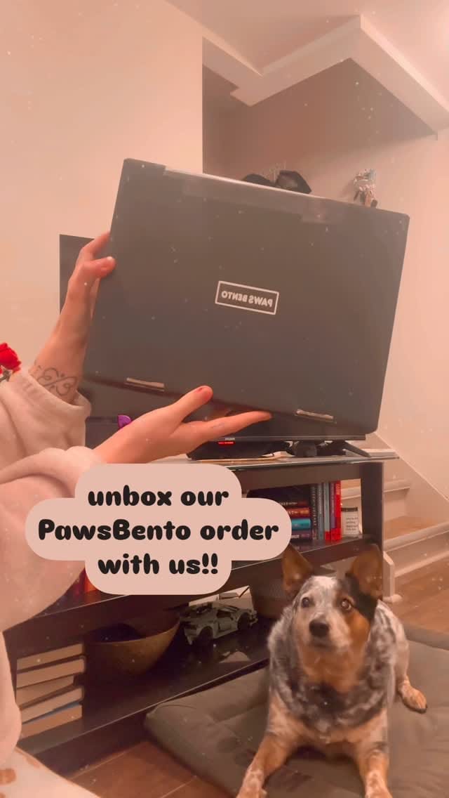Post 3 by 𝘽𝙚𝙖𝙩𝙧𝙞𝙘𝙚 𝙩𝙝𝙚 𝘽𝙡𝙪𝙚 𝙃𝙚𝙚𝙡𝙚𝙧♡ on Instagram (video)