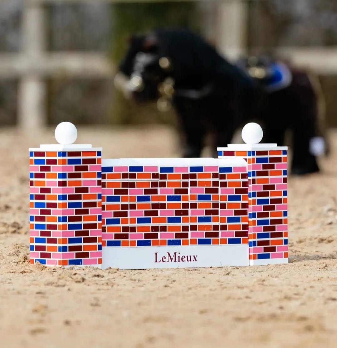 Post 10 by Vision Saddlery on Instagram (carousel)