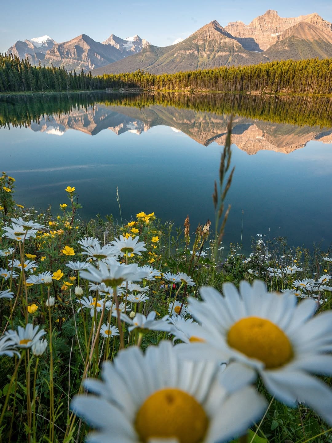 Post 8 by Robin Laurenson on Instagram (image)