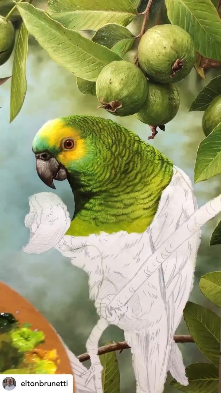 Post 3 by Curry's Artists' Materials on Instagram (video)