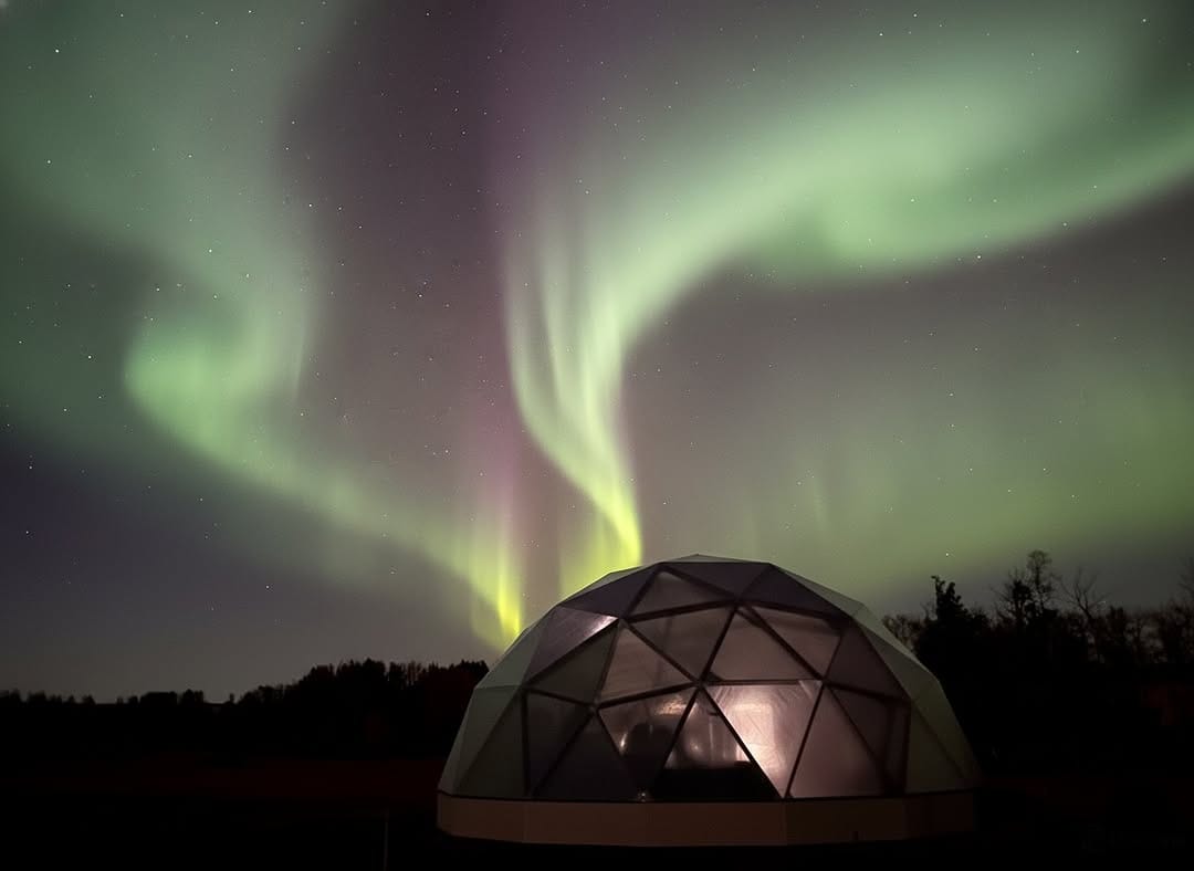 Post 4 by Arctic Acres Inc. on Instagram (image)