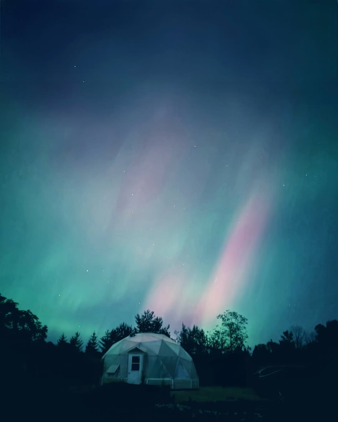 Post 8 by Arctic Acres Inc. on Instagram (image)
