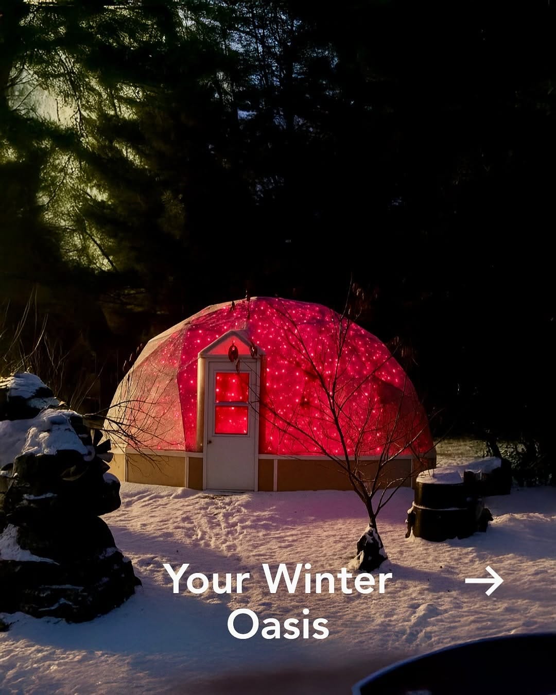 Post 3 by Arctic Acres Inc. on Instagram (carousel)