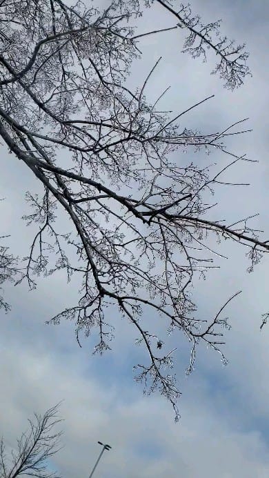 Post 4 by Uzma shahzad on Instagram (video)