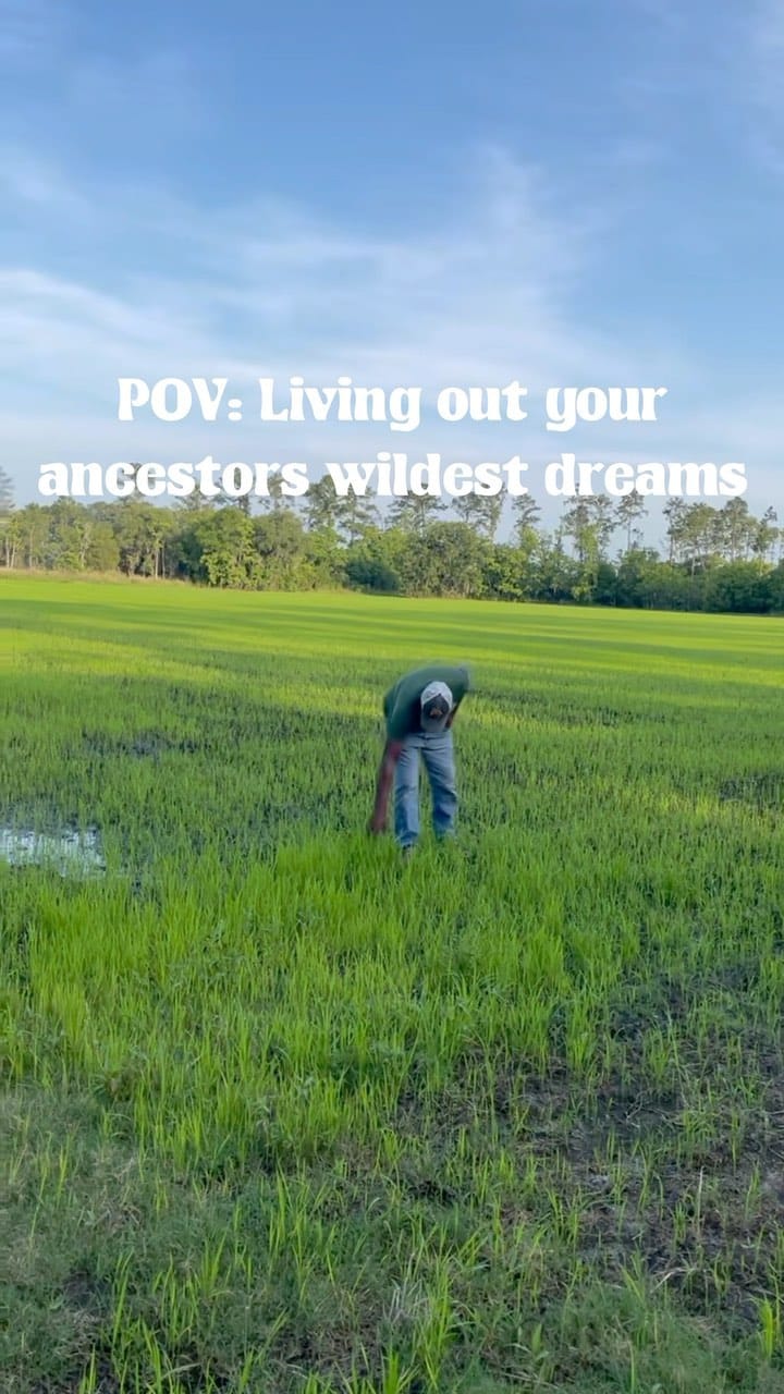 Post 8 by Rollen’s RAW Grains on Instagram (video)