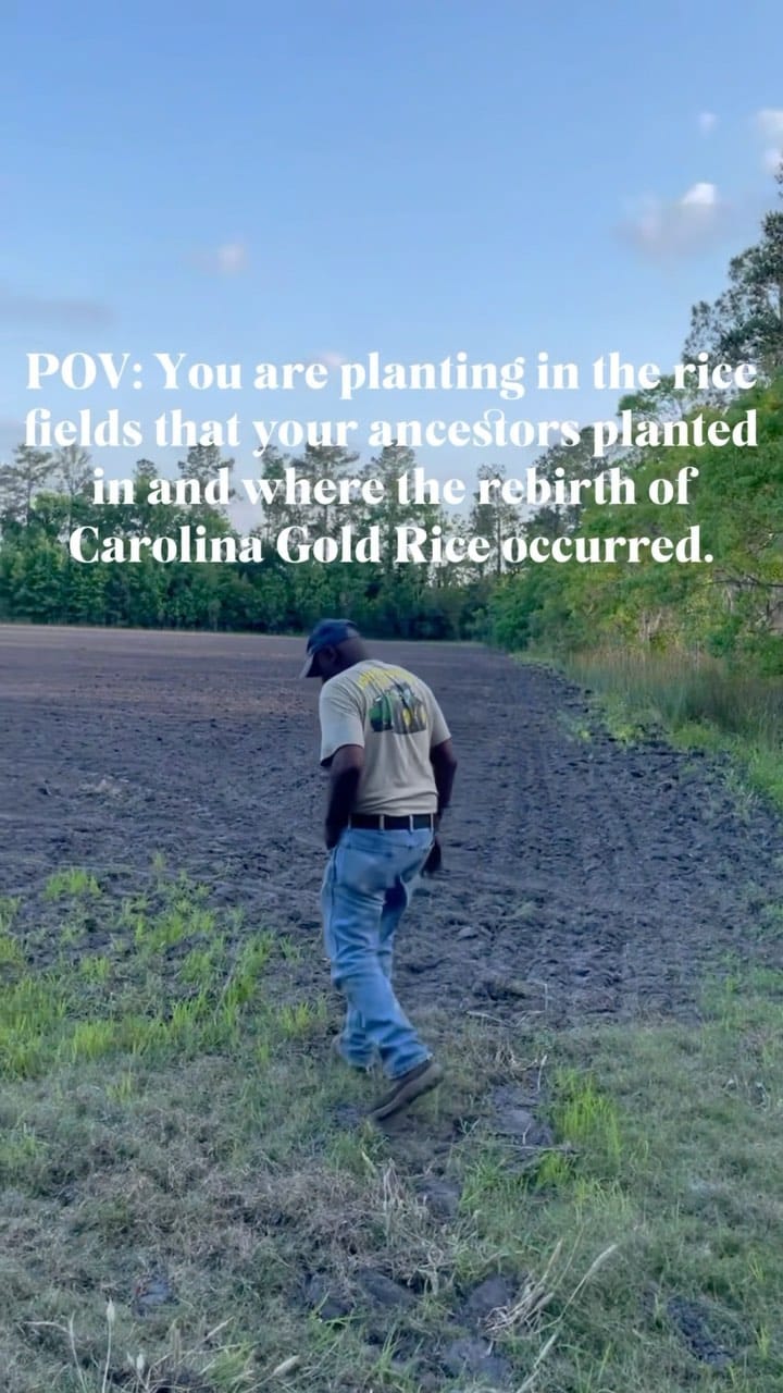 Post 9 by Rollen’s RAW Grains on Instagram (video)