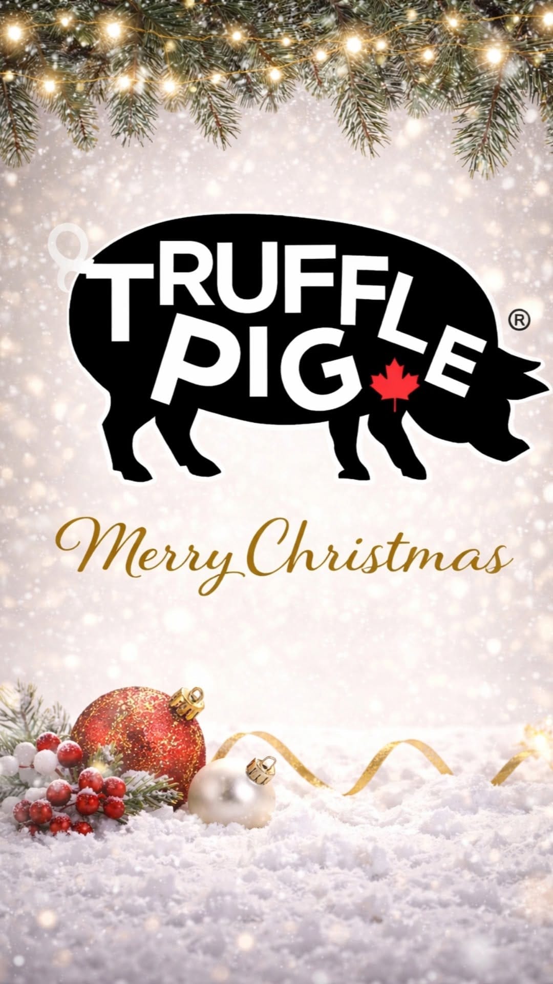 Post 2 by Truffle Pig Canada on Instagram (video)