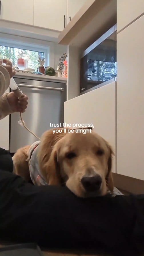 Post 8 by Canino Dog Food on Instagram (video)