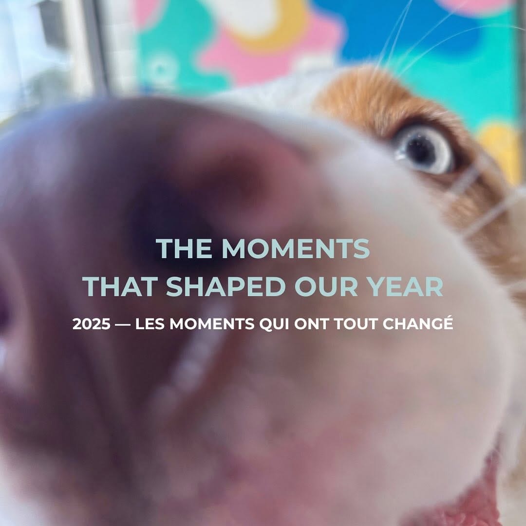 Post 4 by Canino Dog Food on Instagram (carousel)