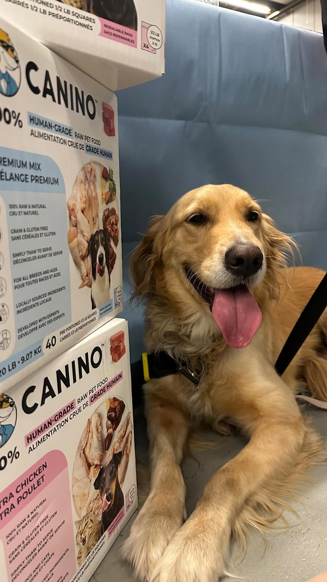 Post 9 by Canino Dog Food on Instagram (video)