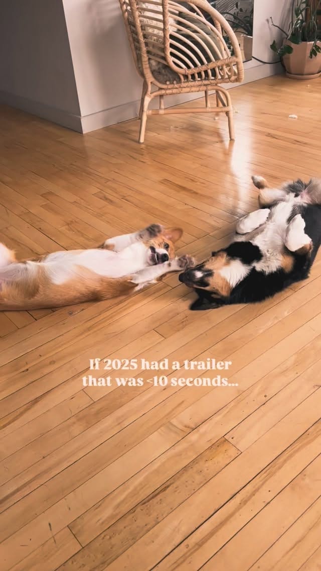 Post 6 by AMANDA TETREAULT on Instagram (video)