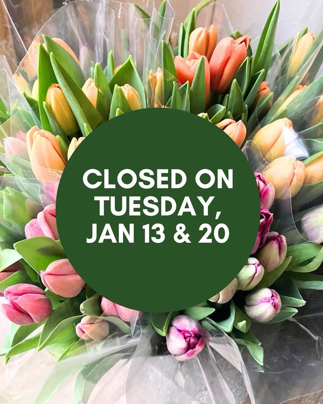 Post 1 by Legacy Greens on Instagram (image)