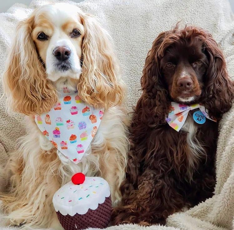 Post 5 by LUNATION BOWTIES 🎀 on Instagram (image)