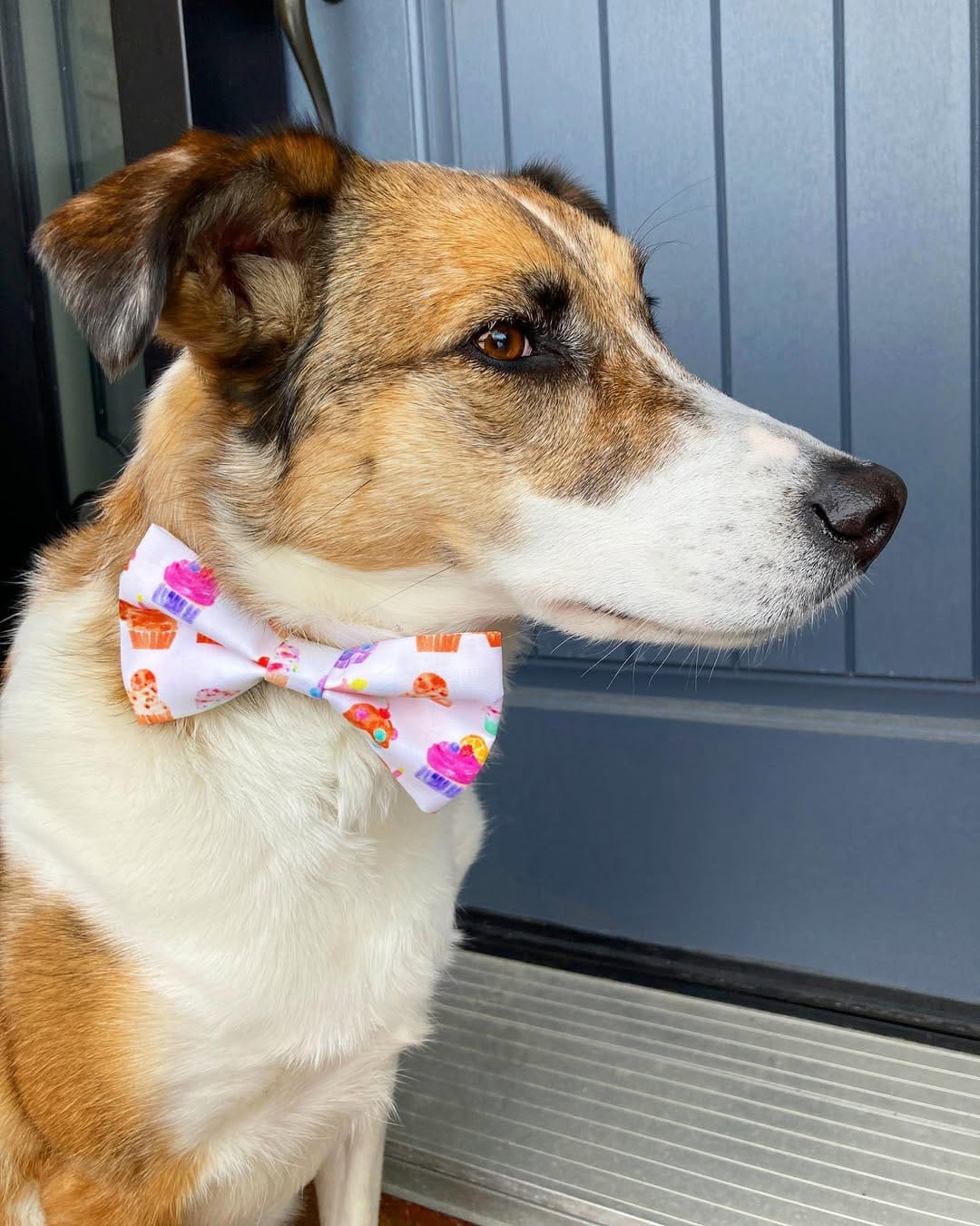 Post 7 by LUNATION BOWTIES 🎀 on Instagram (image)