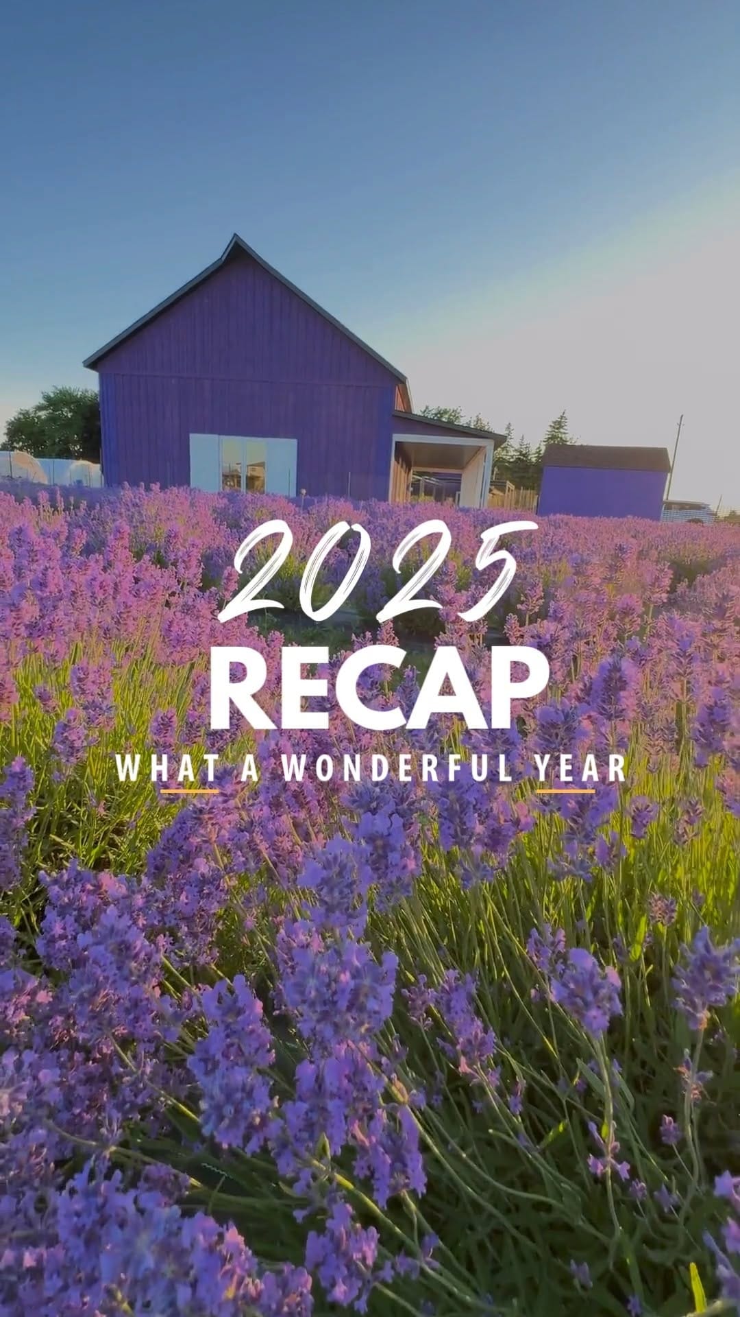 Post 1 by neob lavender on Instagram (video)