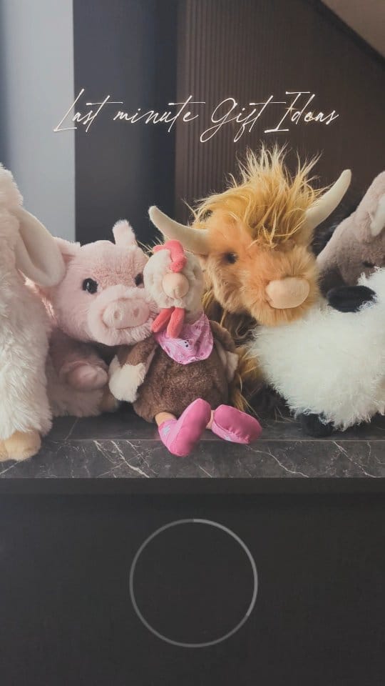 Post 9 by Sprucewood Tack Shop on Instagram (video)