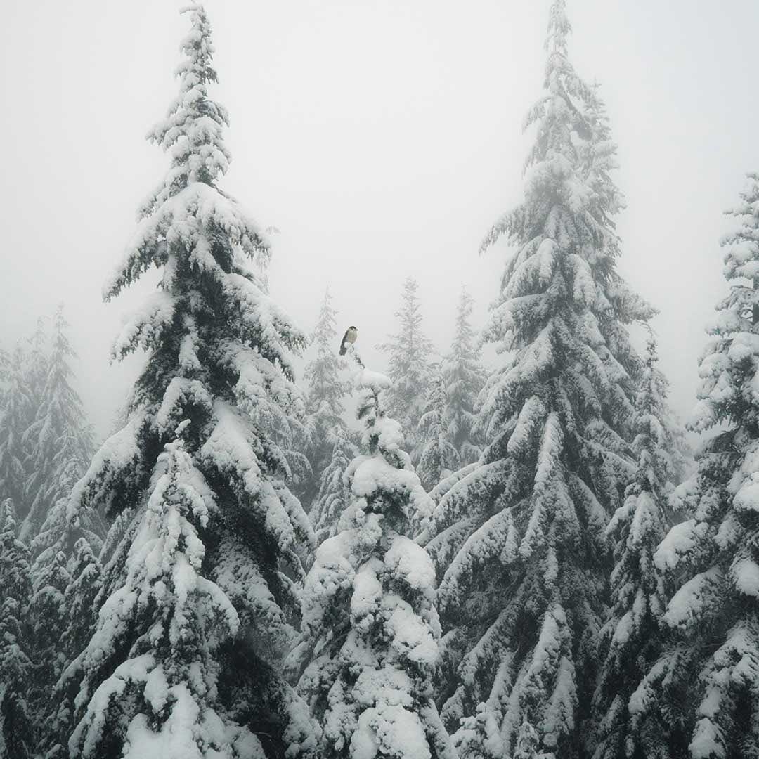 Post 10 by Red Canoe Brands on Instagram (image)