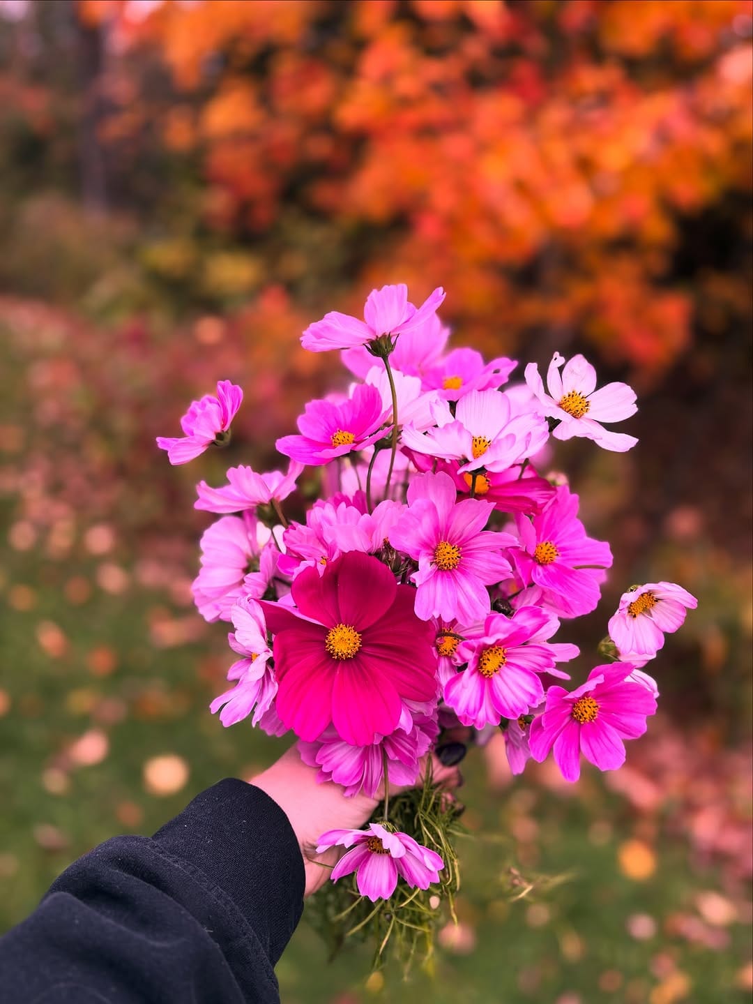 Post 8 by Julie Broadbent Photography on Instagram (image)