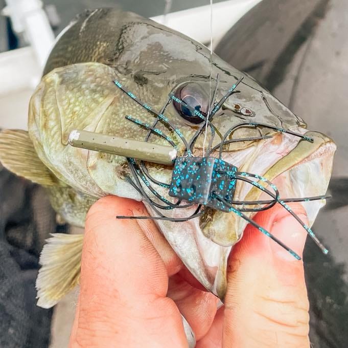 Post 4 by Canadian Tackle Store on Instagram (image)