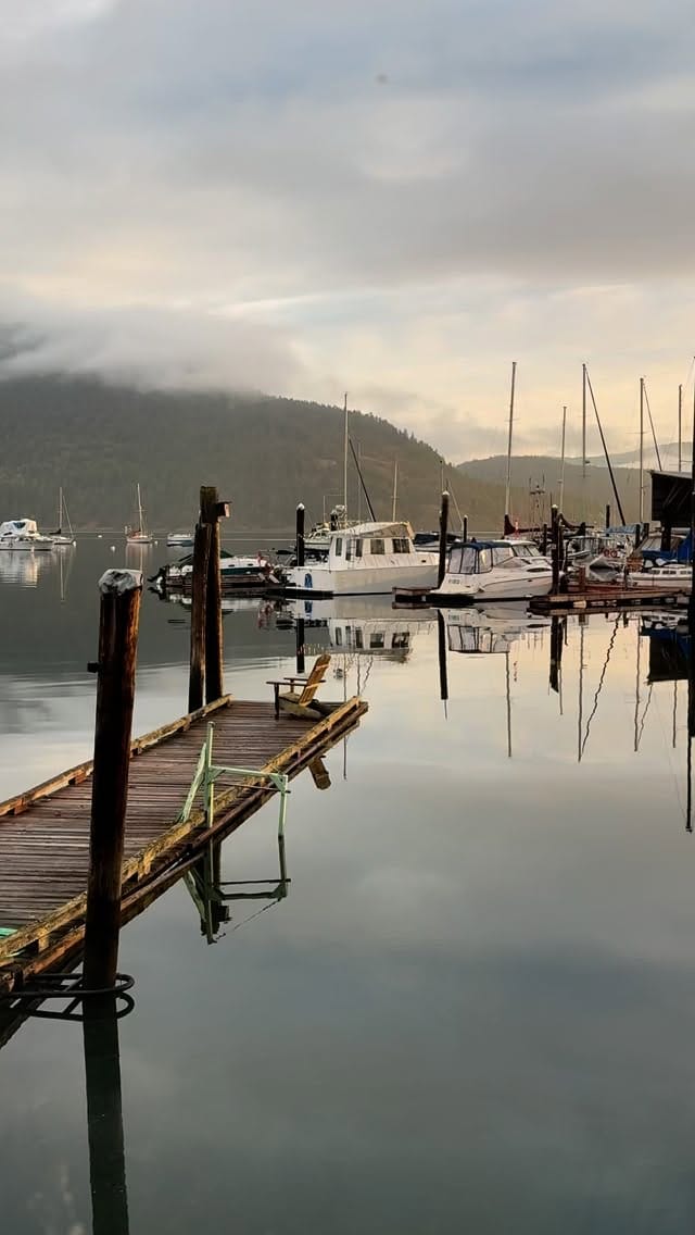 Post 2 by Wild Coast Perfumery on Instagram (video)