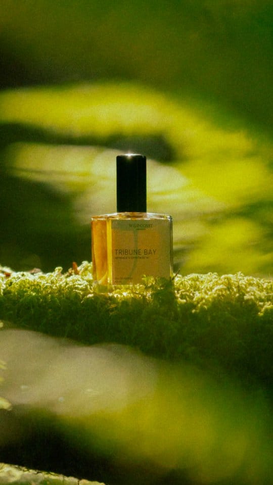 Post 10 by Wild Coast Perfumery on Instagram (video)