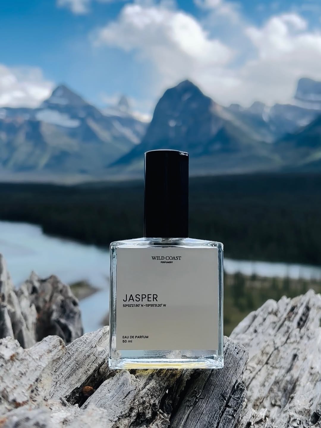 Post 4 by Wild Coast Perfumery on Instagram (image)