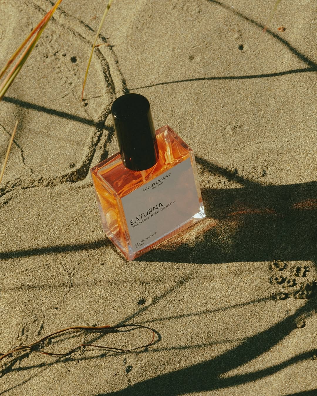 Post 9 by Wild Coast Perfumery on Instagram (image)