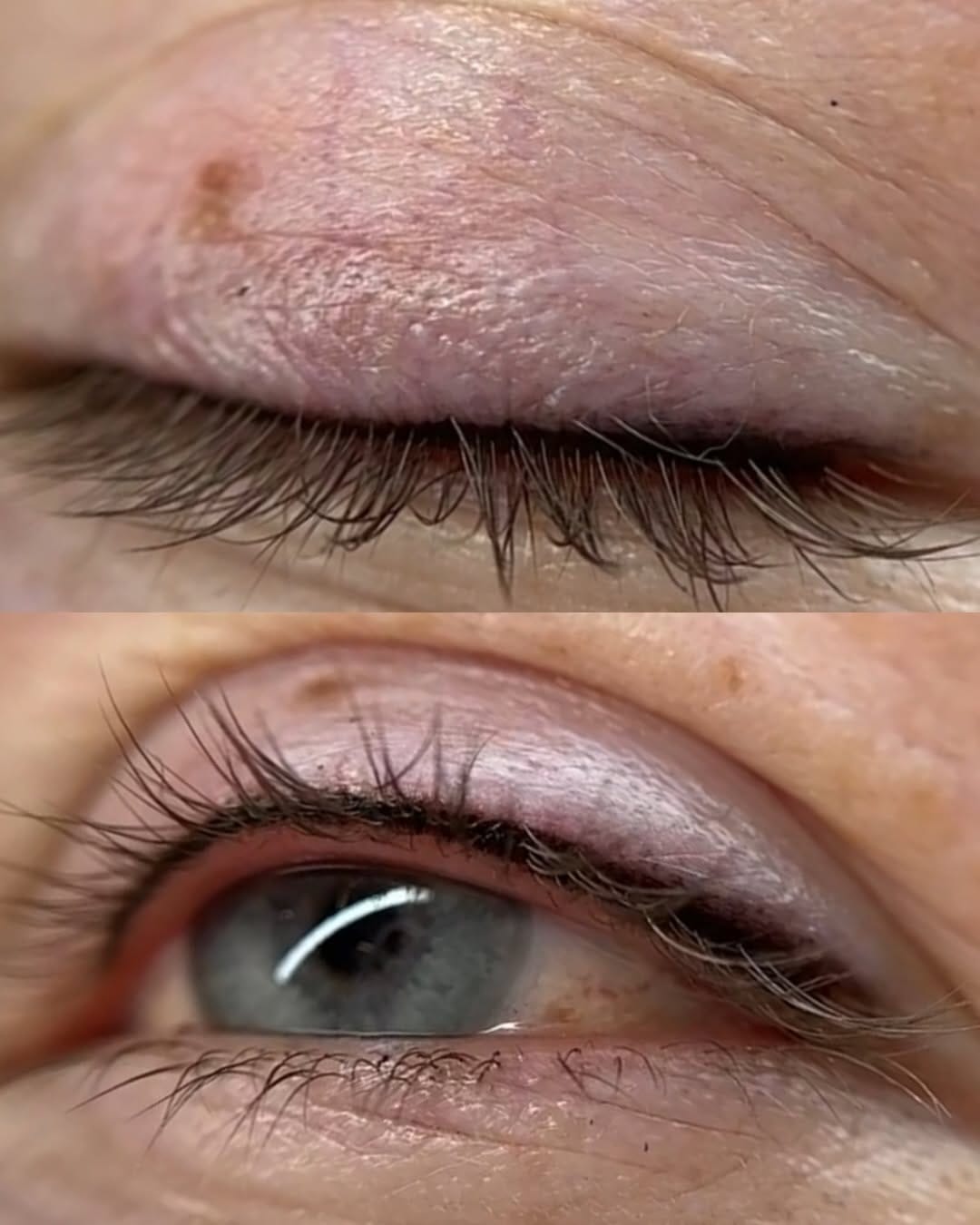 Post 3 by Shay Danielle Academy. Online Permanent Makeup Training on Instagram (carousel)