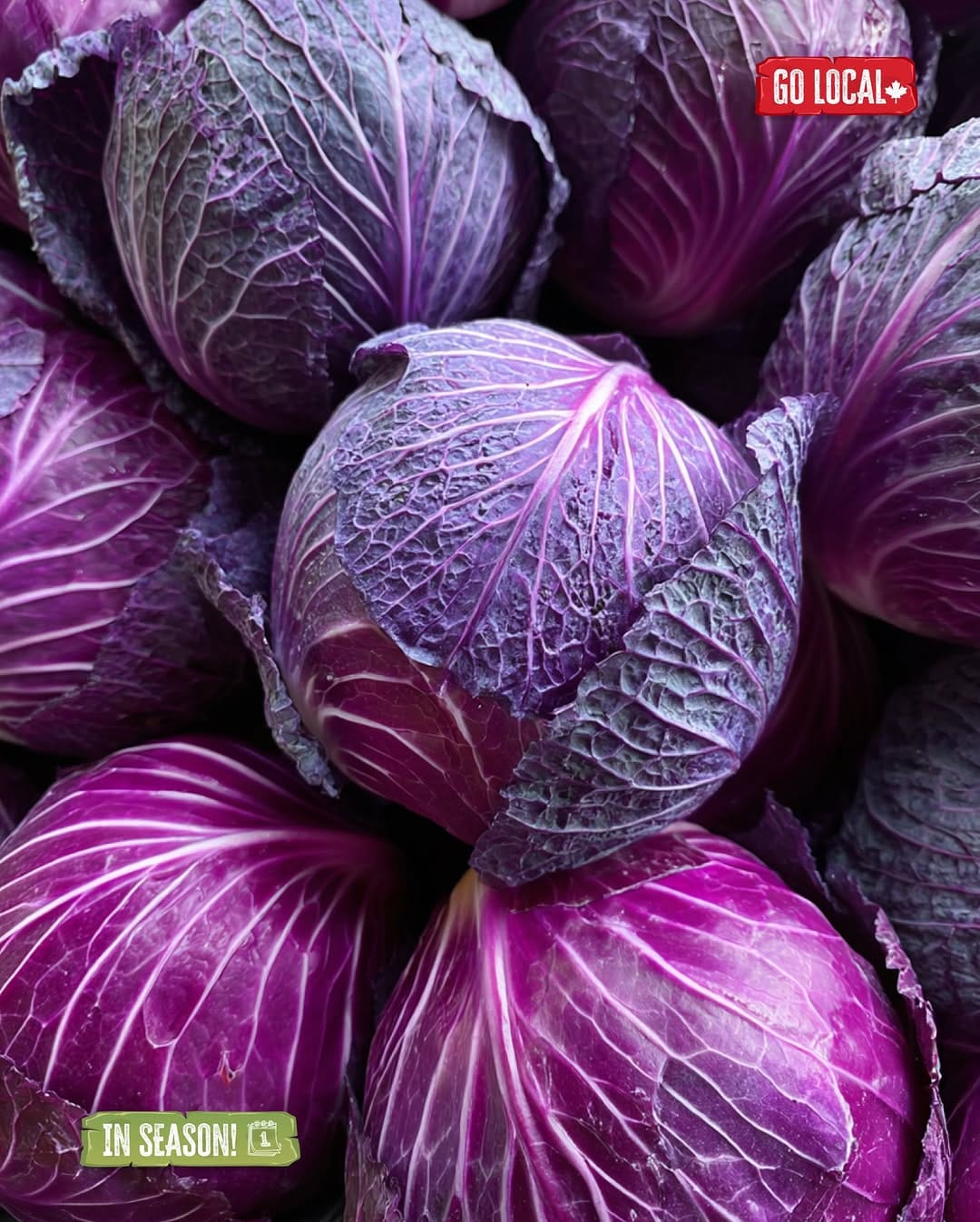 Post 3 by Marché Leo’s on Instagram (image)
