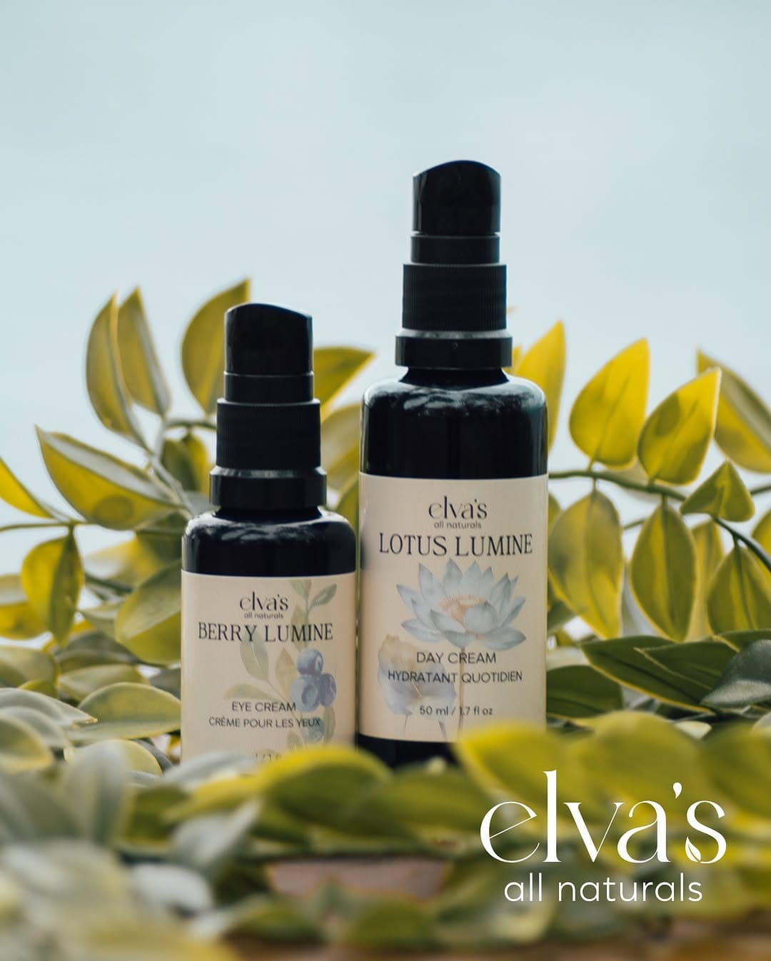 Post 6 by Elva's All Naturals on Instagram (image)