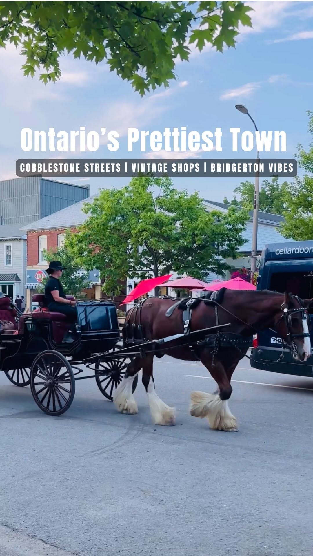Post 9 by Neha Jain | Toronto Influencer on Instagram (video)