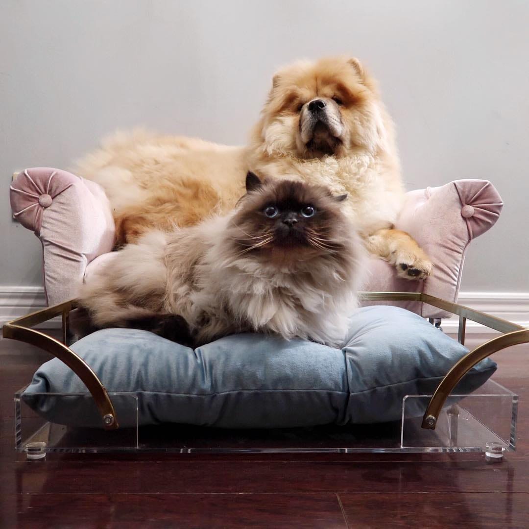 Post 9 by 🩵 milo • marshmallow 🩷 on Instagram (image)
