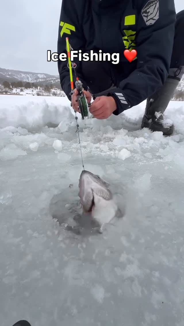 Post 4 by Nivin Elhussiny on Instagram (video)