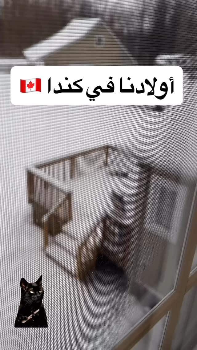 Post 1 by Nivin Elhussiny on Instagram (video)