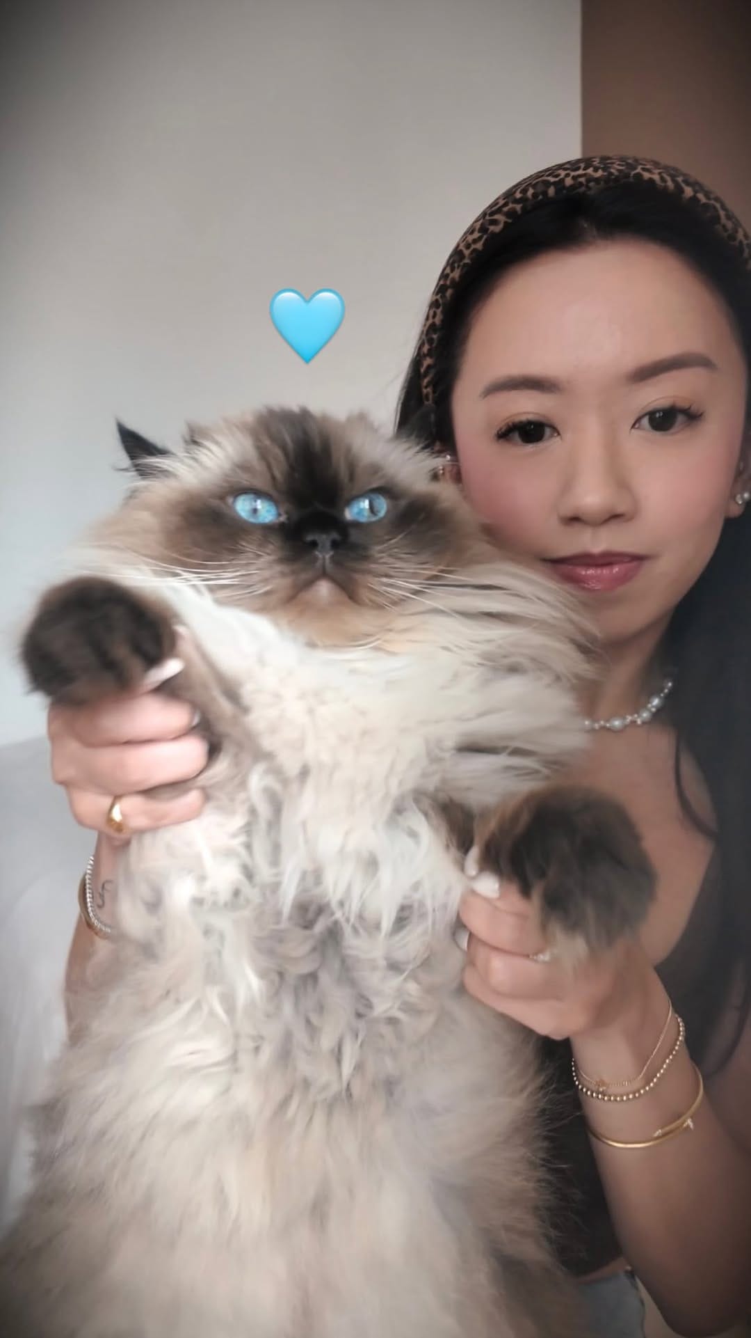 Post 2 by 🩵 milo • marshmallow 🩷 on Instagram (video)