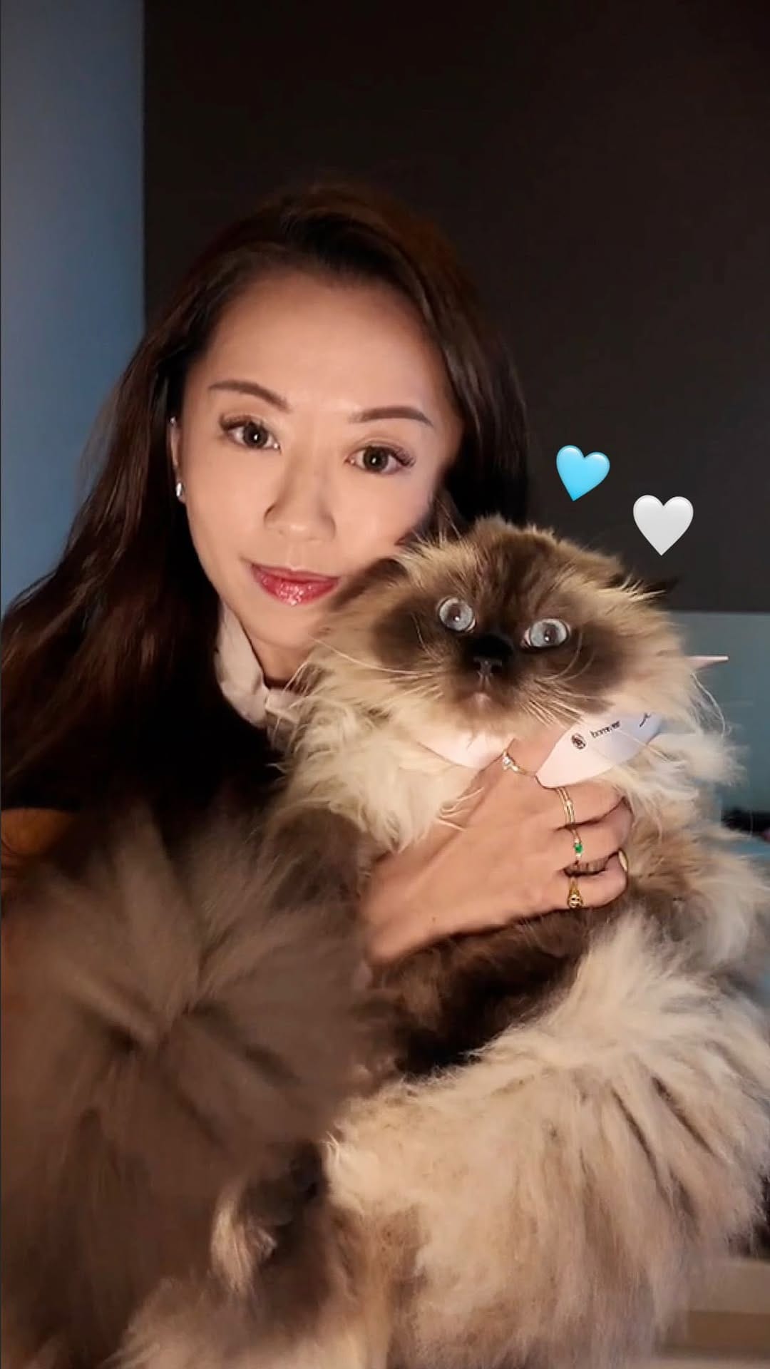 Post 1 by 🩵 milo • marshmallow 🩷 on Instagram (video)