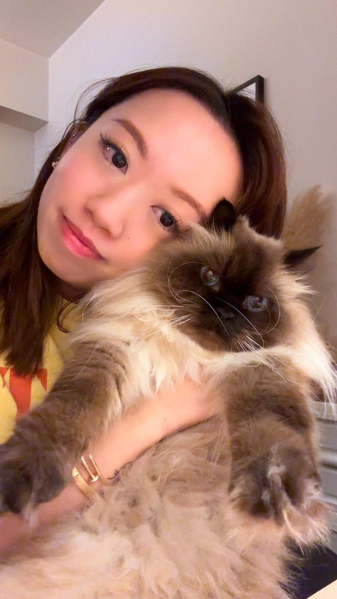 Post 6 by 🩵 milo • marshmallow 🩷 on Instagram (video)