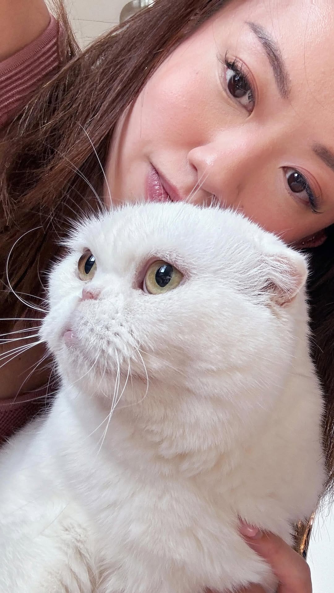 Post 4 by 🩵 milo • marshmallow 🩷 on Instagram (video)
