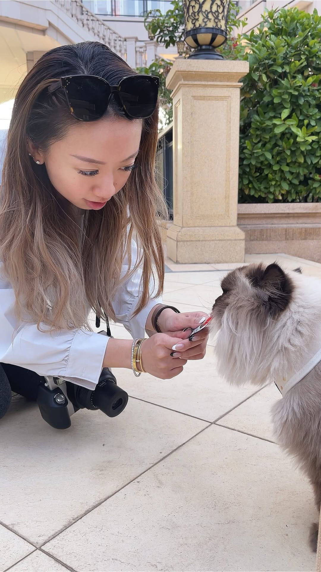 Post 3 by 🩵 milo • marshmallow 🩷 on Instagram (video)