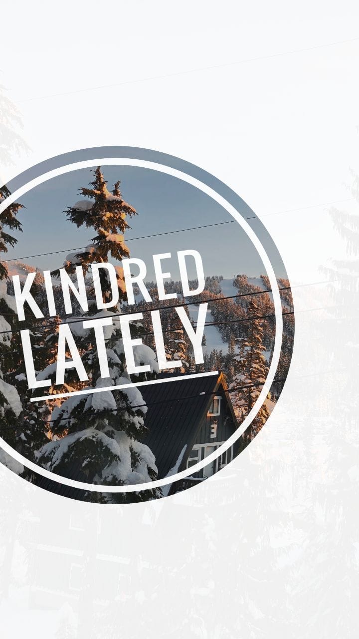 Post 1 by 𝘒𝘐𝘕𝘋𝘙𝘌𝘋 Snowboards and Skis on Instagram (video)