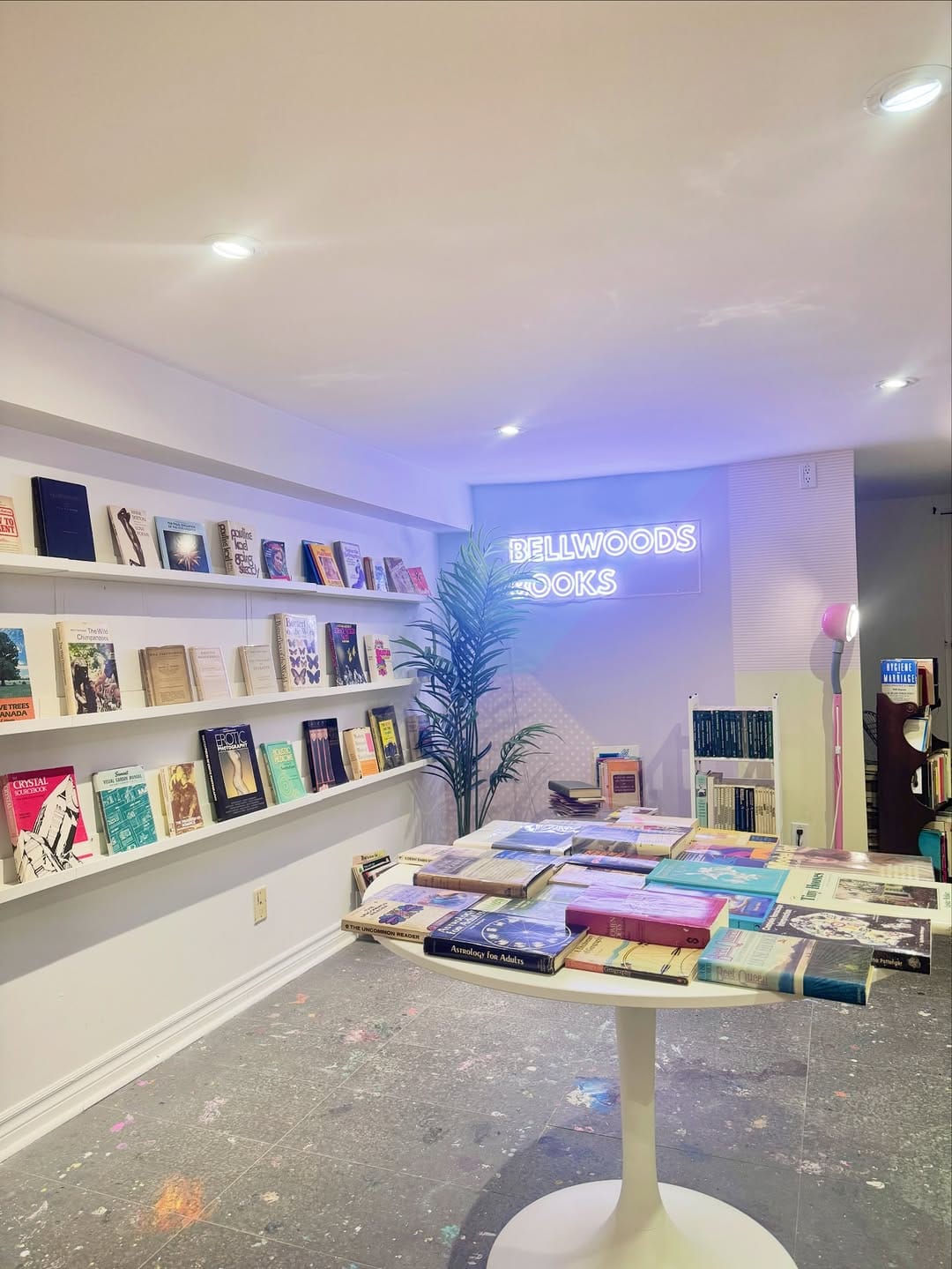 Post 5 by Bellwoods Books on Instagram (image)