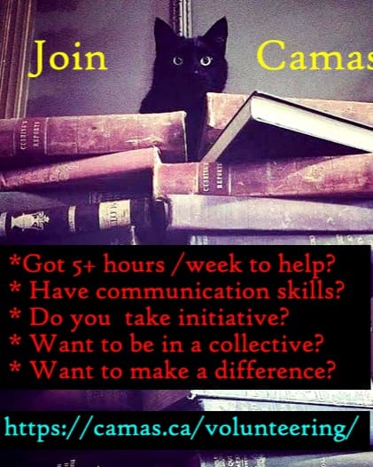Post 1 by Camas Books & Infoshop on Instagram (image)