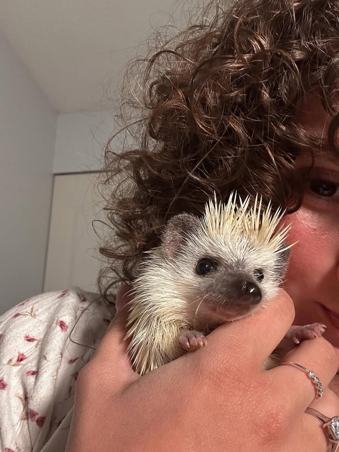 Post 9 by Ruby Jones on Instagram (carousel)