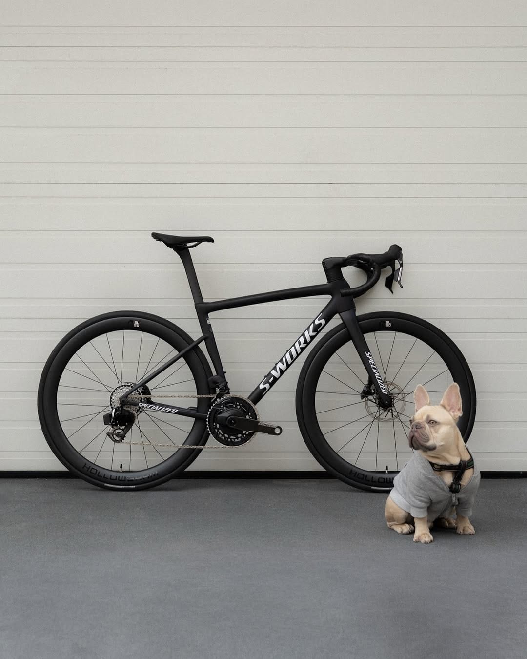 Post 3 by Wheels of Bloor on Instagram (image)