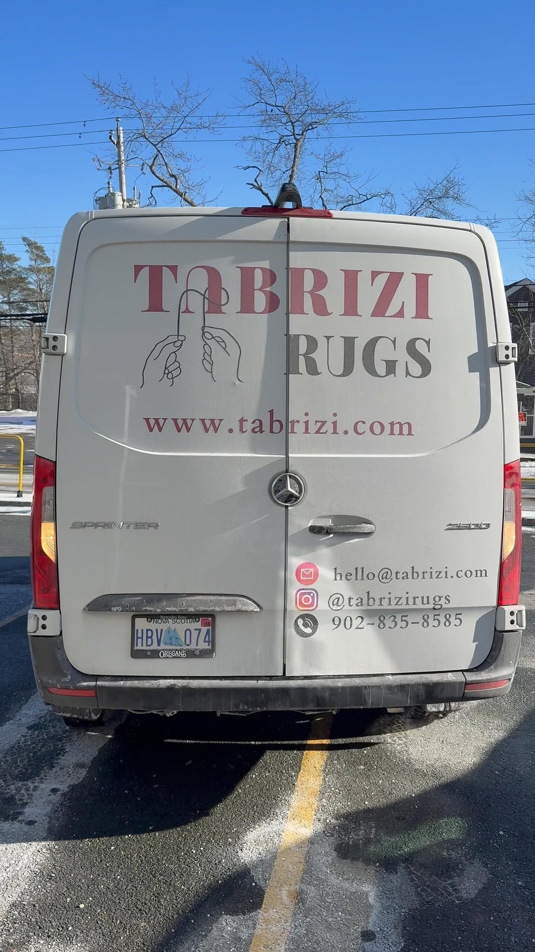 Post 7 by Tabrizi Rugs on Instagram (video)