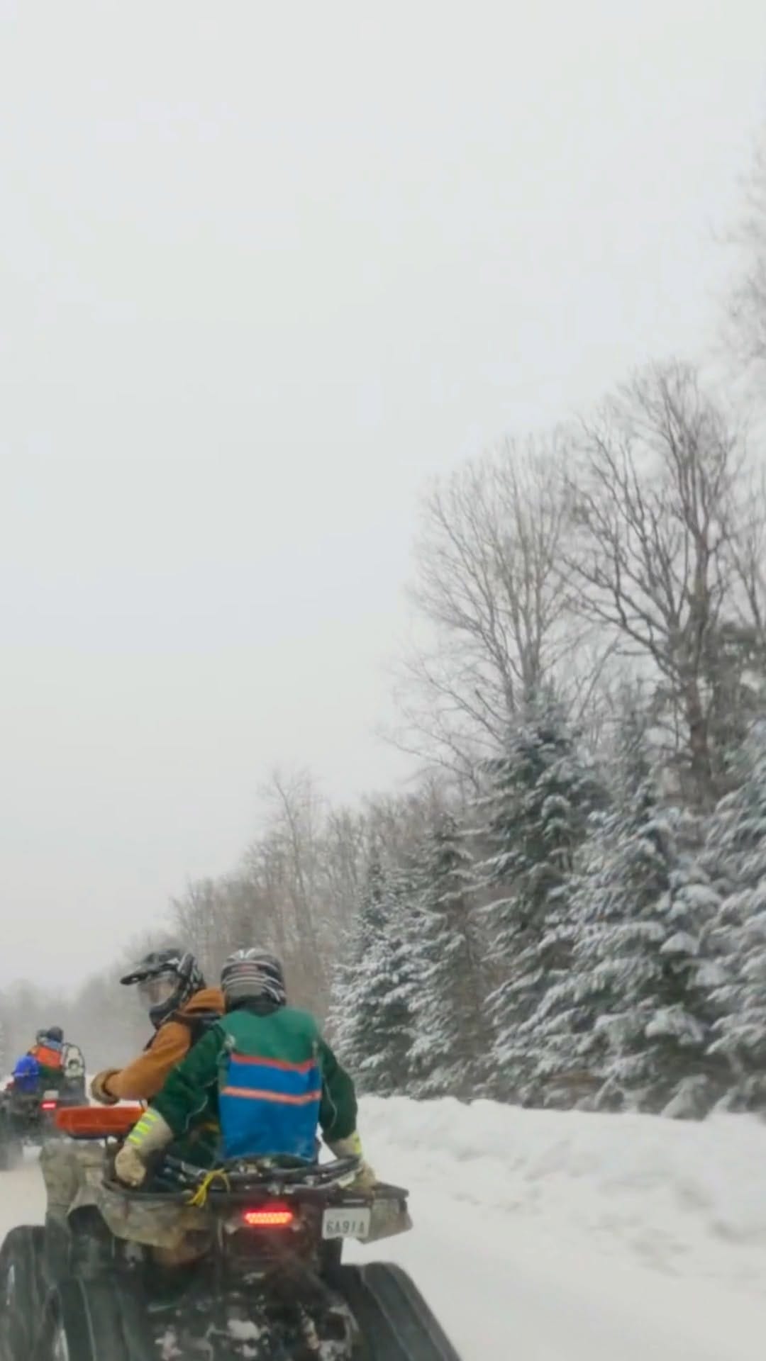 Post 1 by Carrick Bros. Maple on Instagram (video)