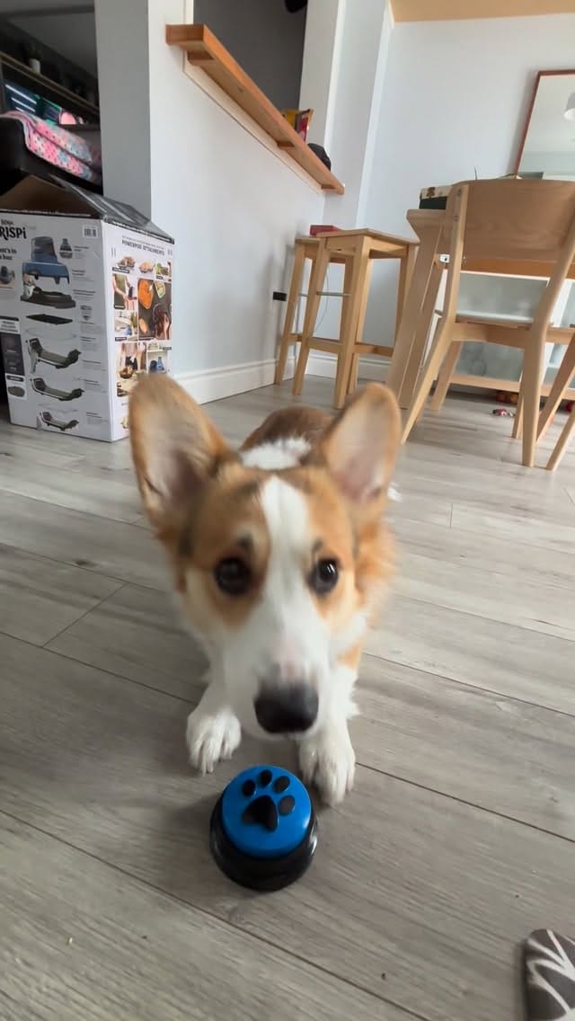 Post 1 by Beedoo&Co on Instagram (video)