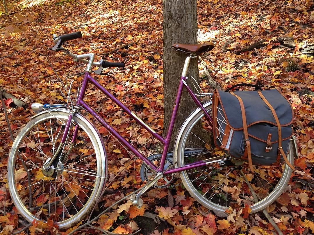 Post 3 by Mariposa Bicycles on Instagram (image)