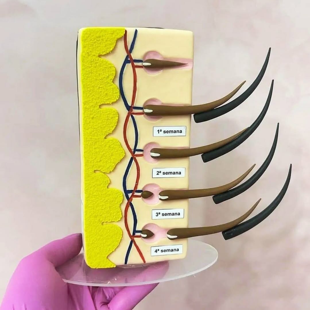 Post 10 by CANADA’S #1 LASH SUPPLIER on Instagram (image)