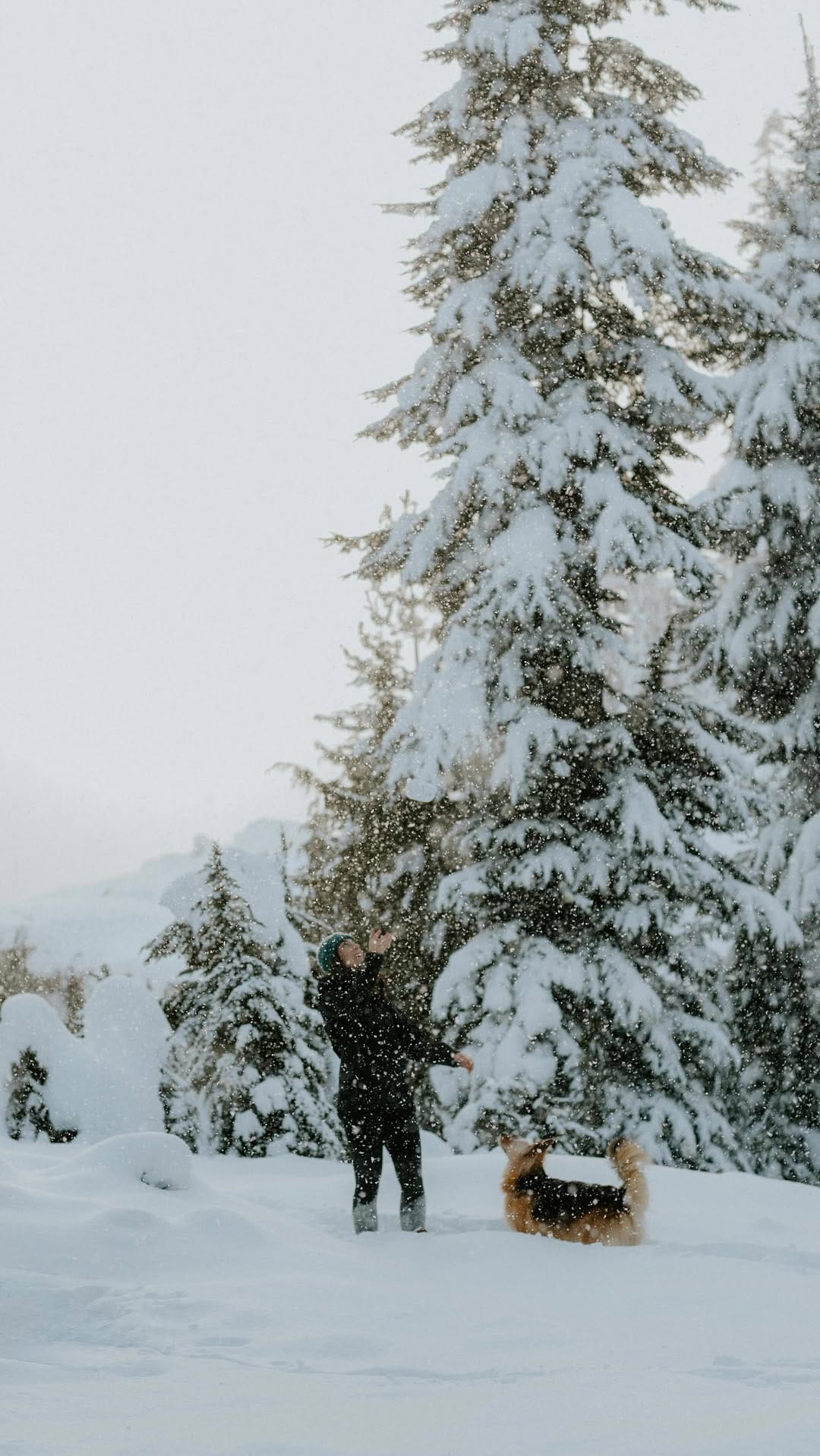 Post 1 by Landish | Functional Wellness on Instagram (video)